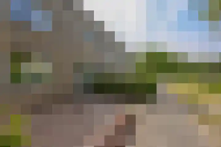 Buñuellaan 49 Almere thumbnail 32
