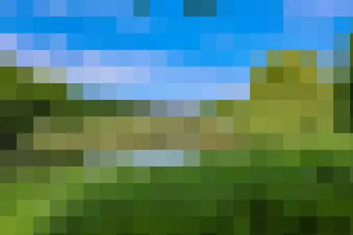Buñuellaan 49 Almere thumbnail 33