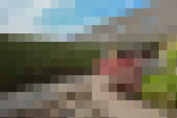Buñuellaan 49 Almere thumbnail 4