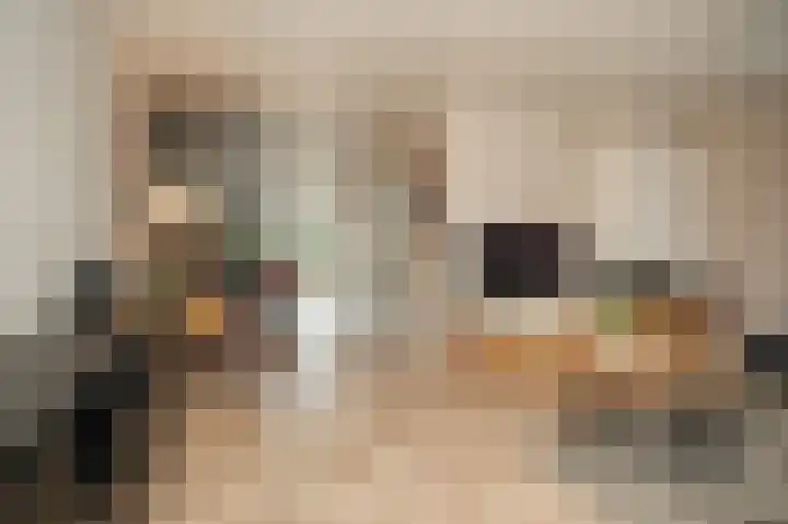 Bunzinghage 47 Berlicum thumbnail 13
