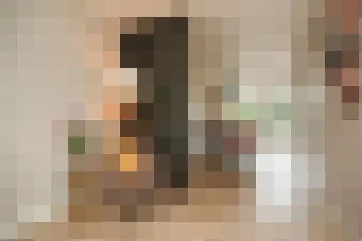Bunzinghage 47 Berlicum thumbnail 15