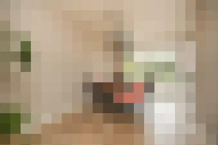 Bunzinghage 47 Berlicum thumbnail 16