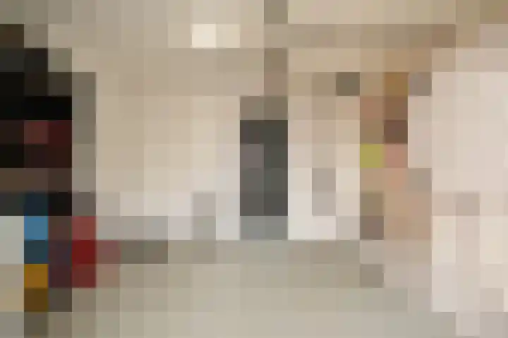Bunzinghage 47 Berlicum thumbnail 24