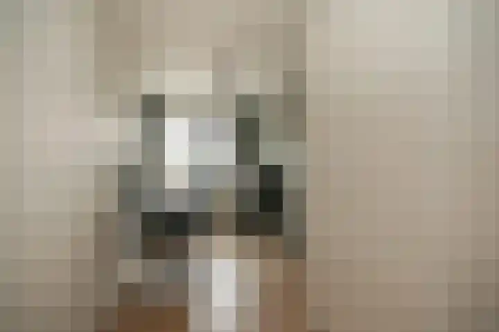 Bunzinghage 47 Berlicum thumbnail 29