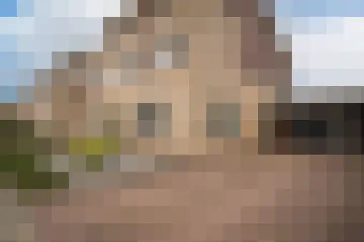 Bunzinghage 47 Berlicum thumbnail 8