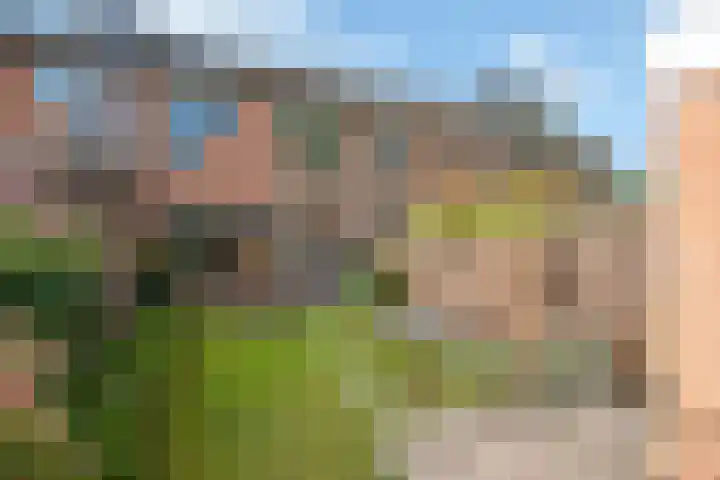 Bunzingweide 8 Zoetermeer thumbnail 11