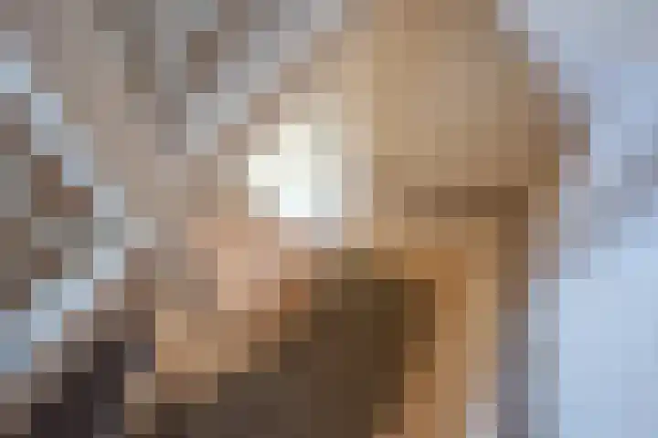 Bunzingweide 8 Zoetermeer thumbnail 15
