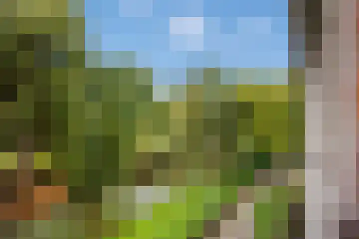 Bunzingweide 8 Zoetermeer thumbnail 22