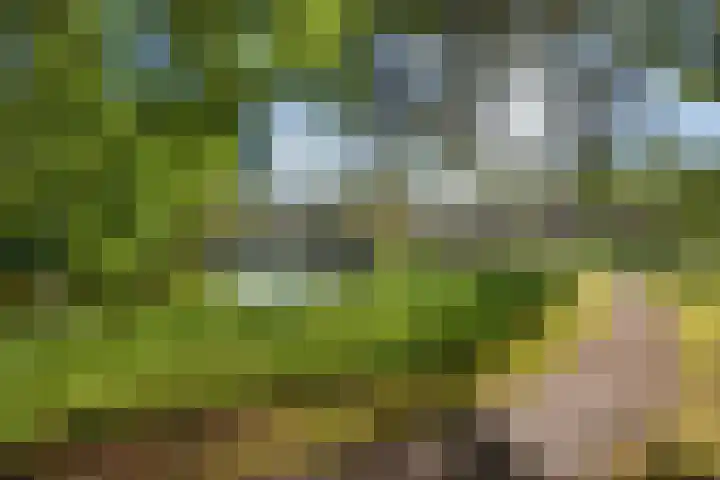 Bunzingweide 8 Zoetermeer thumbnail 28