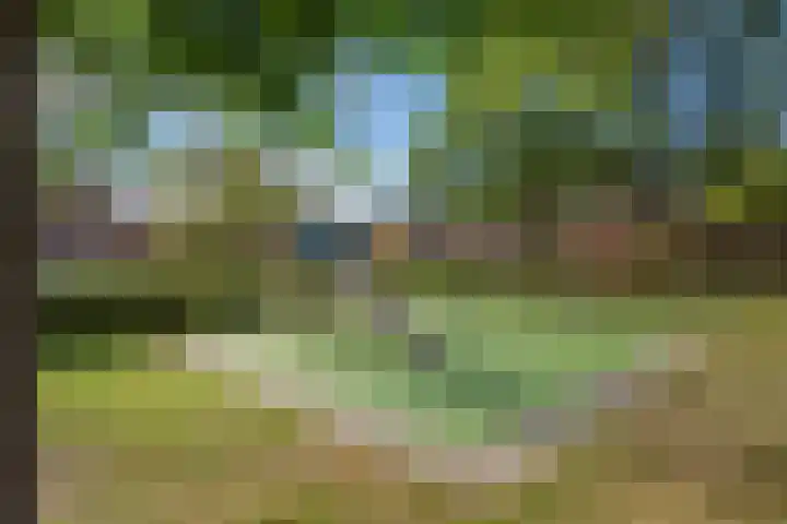 Bunzingweide 8 Zoetermeer thumbnail 29