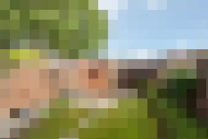 Bunzingweide 8 Zoetermeer thumbnail 8