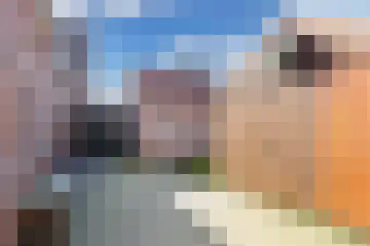 Buorren 20 Rien thumbnail 29