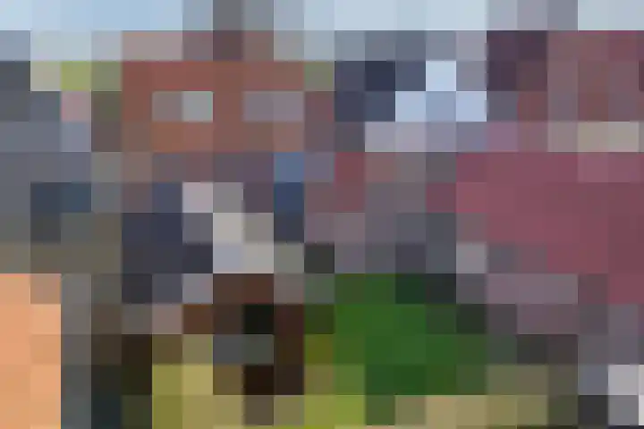 Buorren 20 Rien foto 3