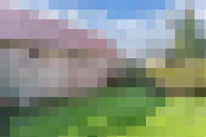 Buorren 20 Rien thumbnail 35