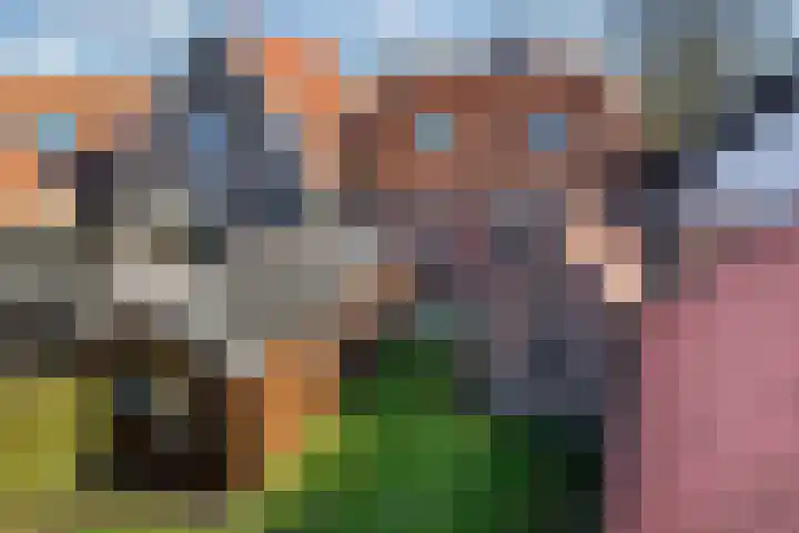 Buorren 20 Rien thumbnail 37