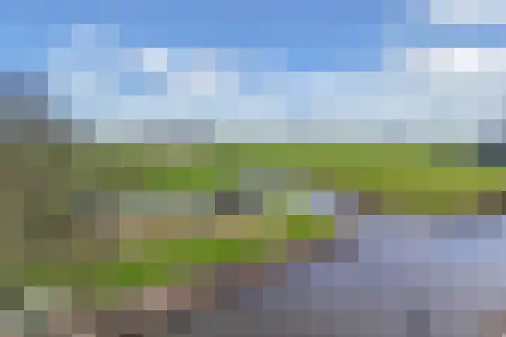 Buorren 20 Rien thumbnail 44