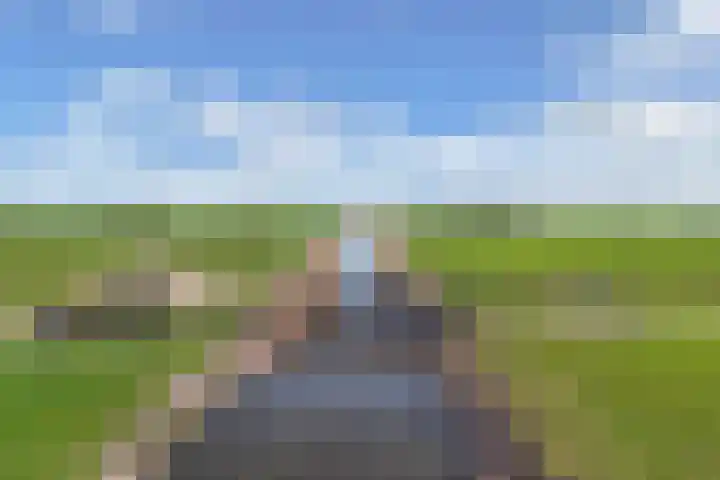 Buorren 20 Rien thumbnail 45