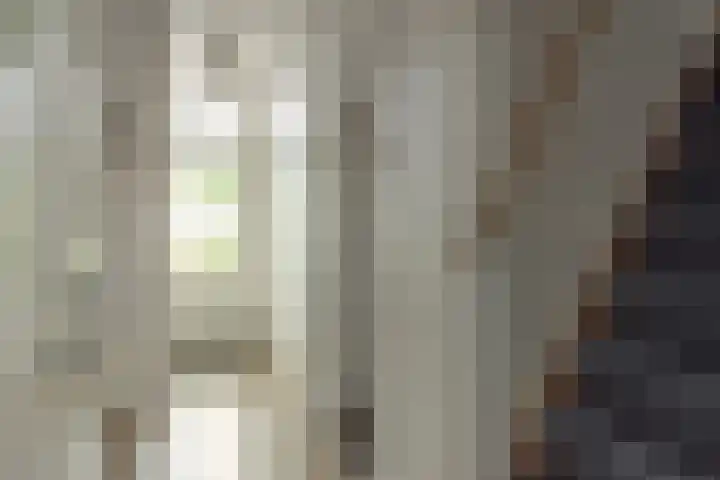 Buorren 23 Oudega thumbnail 30