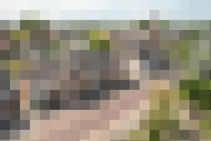 Buorren 23 Oudega thumbnail 6