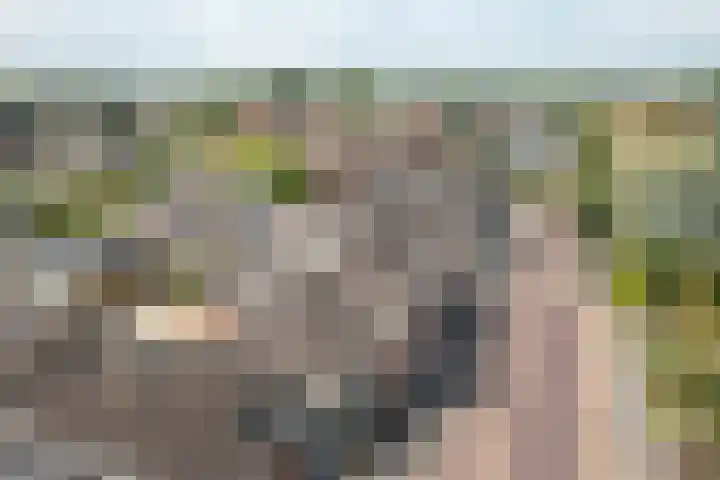 Buorren 23 Oudega thumbnail 7