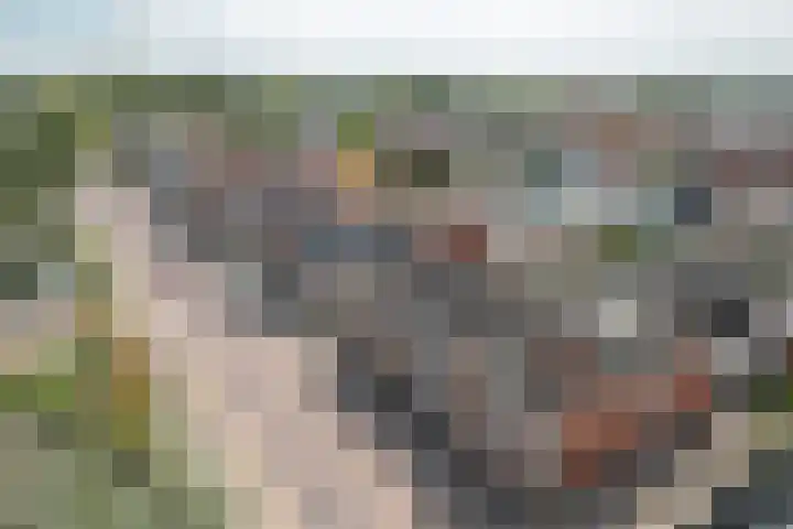 Buorren 23 Oudega thumbnail 8
