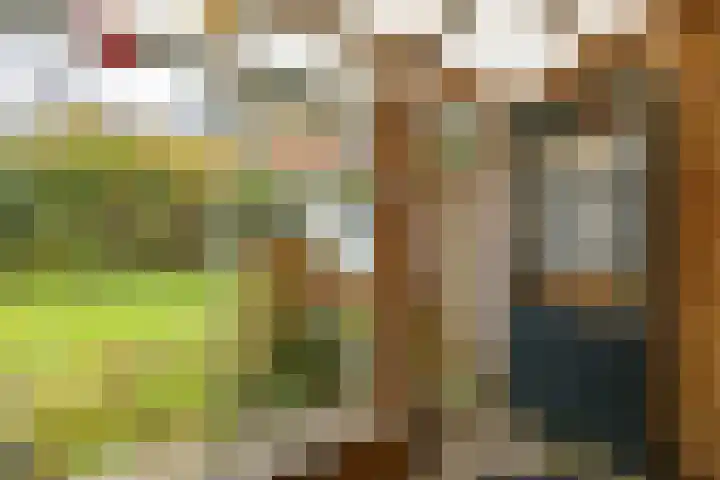 Buorren 26 Hemelum thumbnail 36