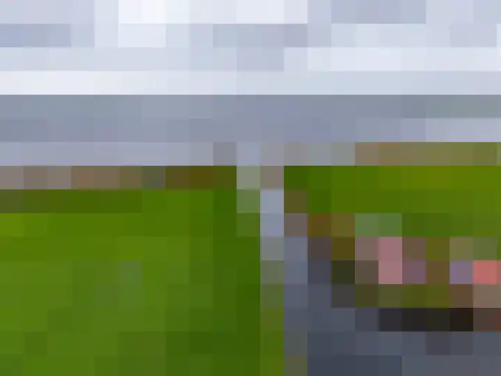 Buorren 26 Hemelum thumbnail 45