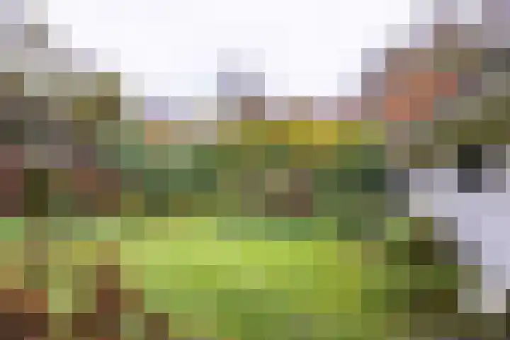 Buorren 26 Hemelum thumbnail 5