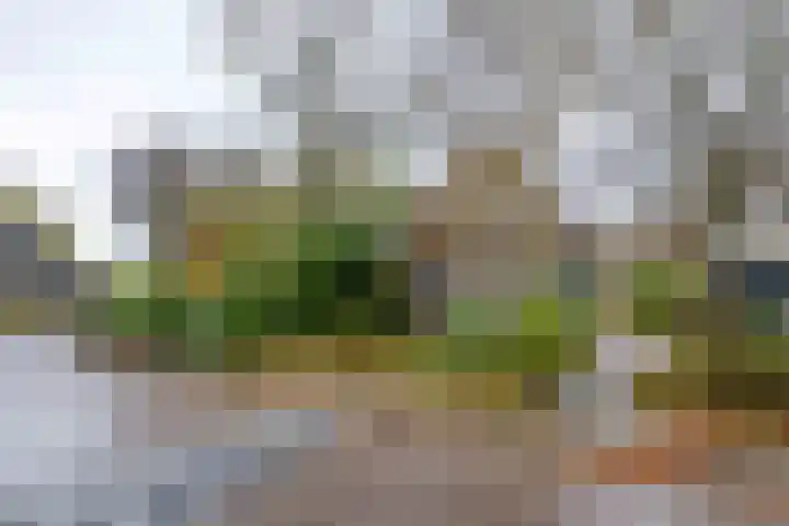 Buorren 26 Hemelum thumbnail 6