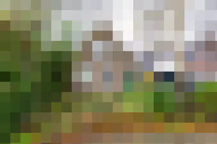 Buorren 26 Hemelum thumbnail 7