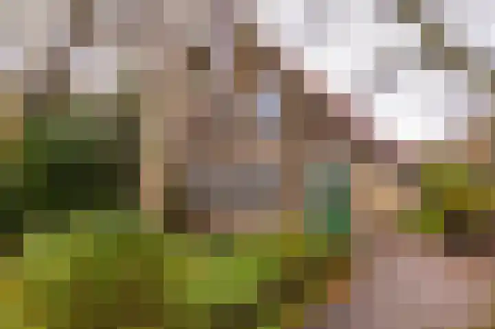 Buorren 26 Hemelum thumbnail 9