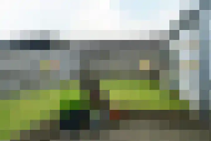Buorren 4 Berltsum thumbnail 26