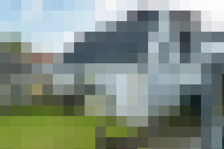Buorren 4 Berltsum thumbnail 27