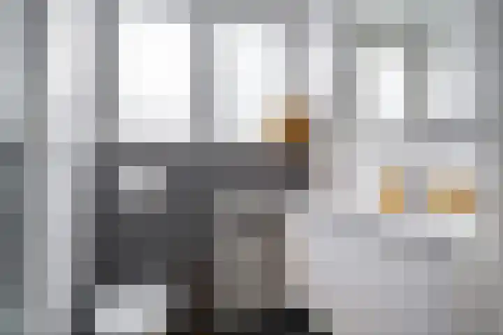 Buorren 4 Berltsum thumbnail 34