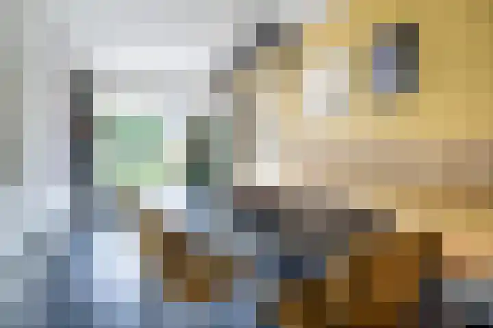 Buorren 4 Berltsum thumbnail 5