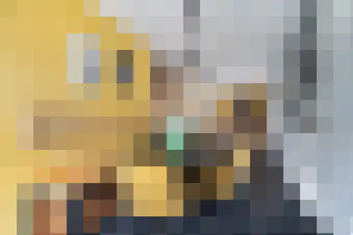 Buorren 4 Berltsum thumbnail 7