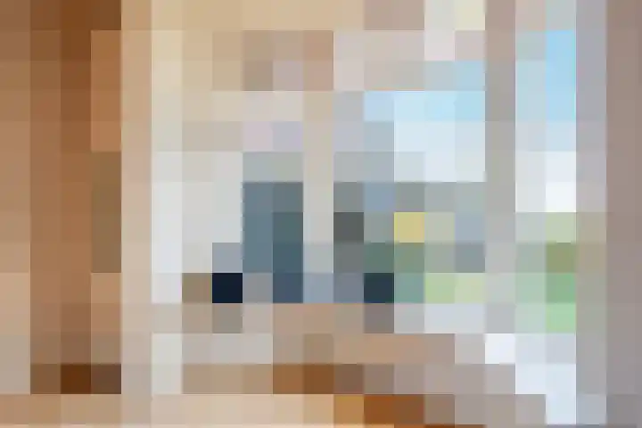 Buorren 43 Wytgaard thumbnail 16