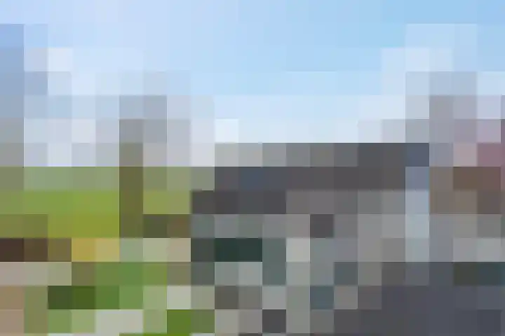 Buorren 43 Wytgaard thumbnail 30