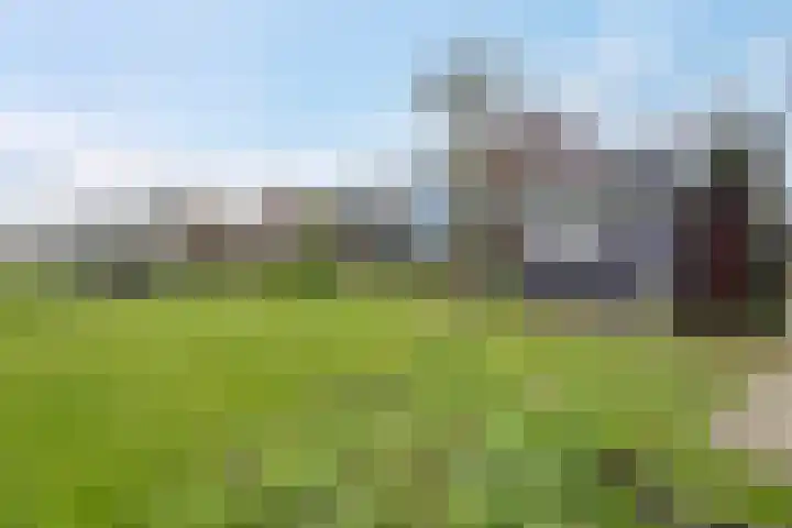 Buorren 43 Wytgaard thumbnail 61