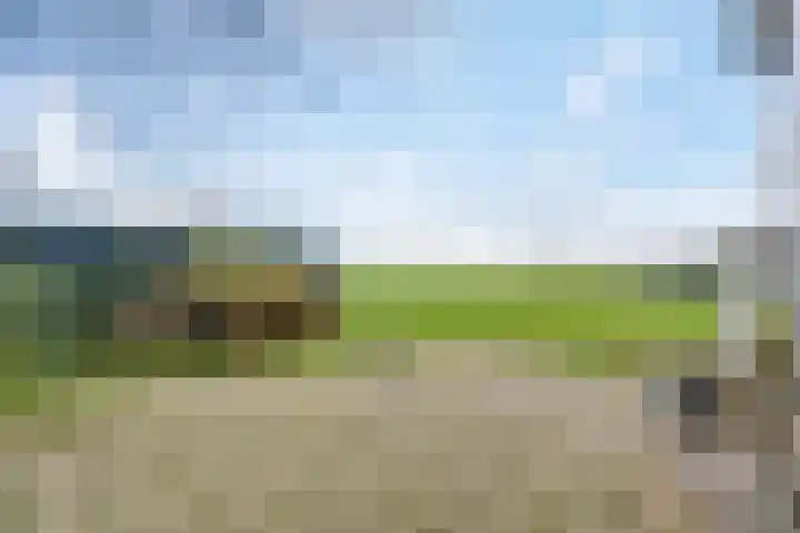 Buorren 43 Wytgaard thumbnail 67