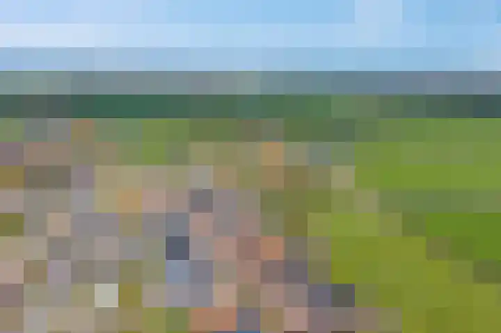Buorren 43 Wytgaard thumbnail 69