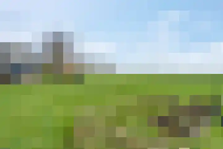 Buorren 43 Wytgaard thumbnail 7