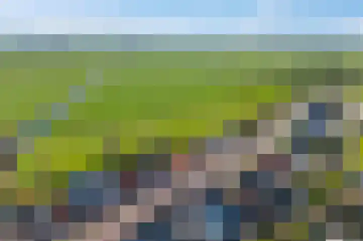 Buorren 43 Wytgaard thumbnail 72