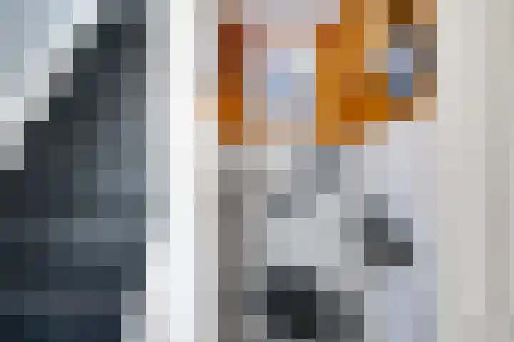 Buorren 46 Raerd thumbnail 11