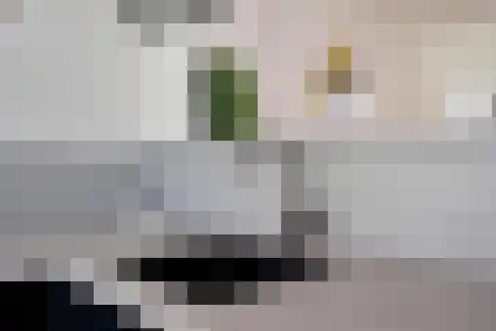 Buorren 46 Raerd thumbnail 16