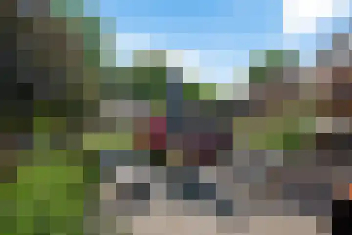 Buorren 46 Raerd thumbnail 38