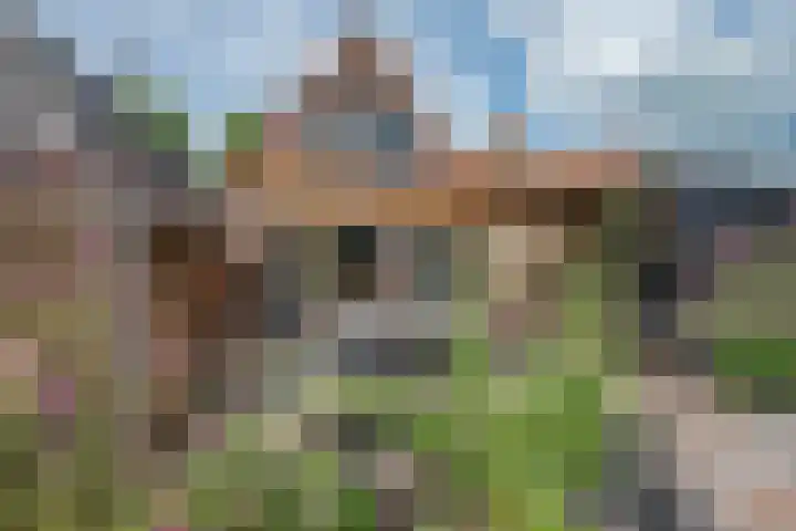 Buorren 46 Raerd thumbnail 39