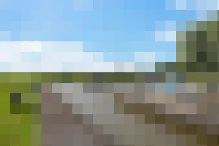 Buorren 46 Raerd thumbnail 44