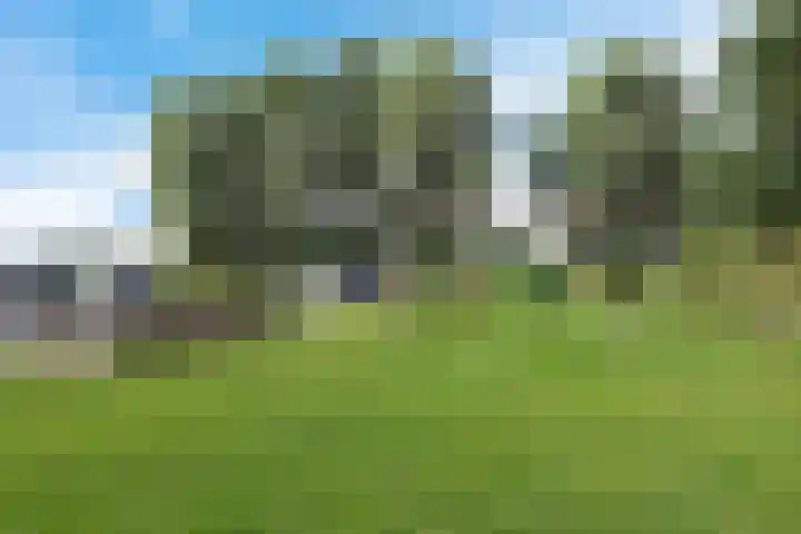 Buorren 46 Raerd thumbnail 45