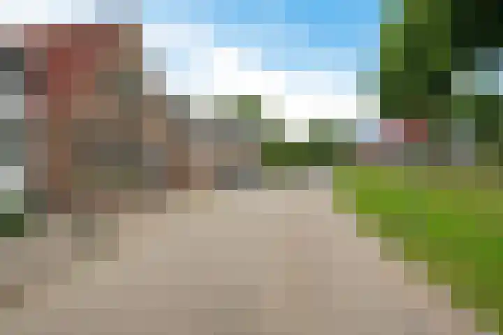 Buorren 46 Raerd thumbnail 6